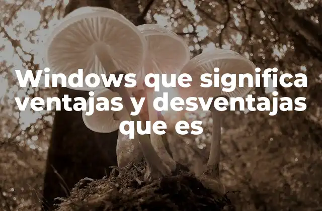 Windows que Significa Ventajas y Desventajas que es