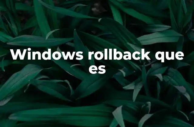 Windows Rollback que es