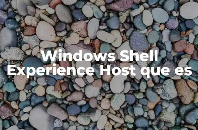 Windows Shell Experience Host que es