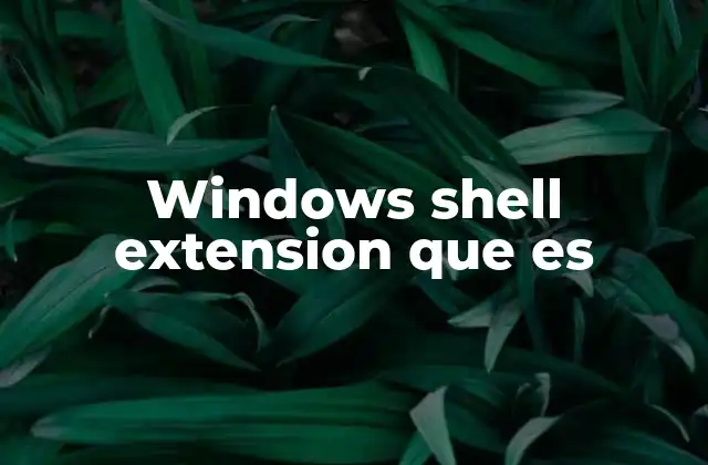 Windows Shell Extension que es