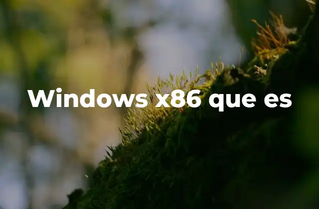 Windows X86 que es