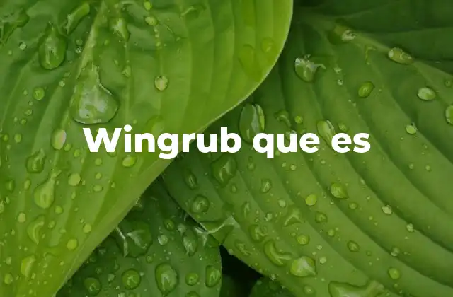 Wingrub que es