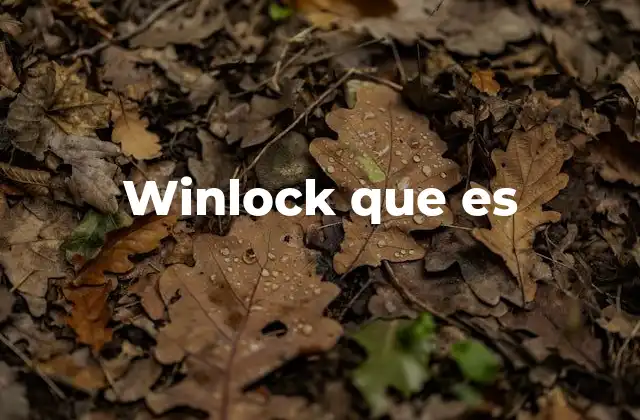 Winlock que es