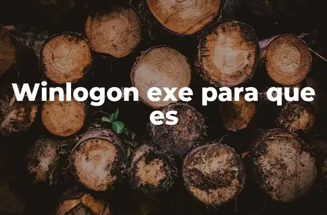 Winlogon Exe para que es