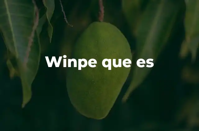 Winpe que es