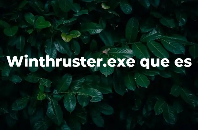 Winthruster.exe que es