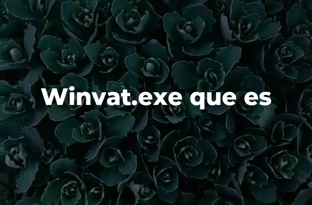 Winvat.exe que es