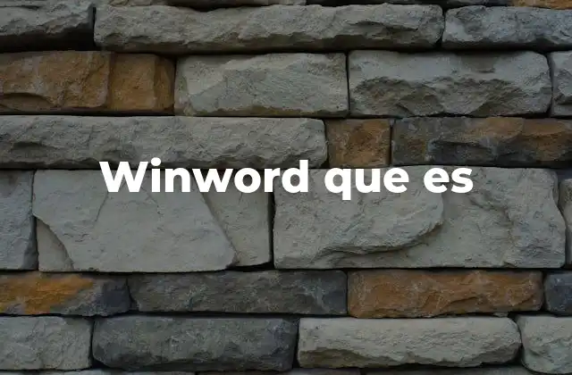 Winword que es