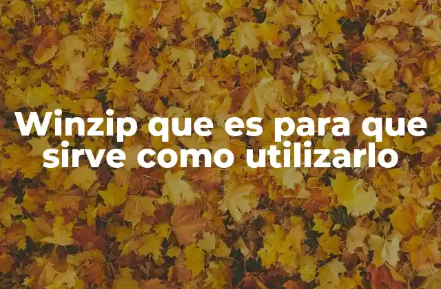 Cómo Winzip mejora la gestión de archivos digitales
