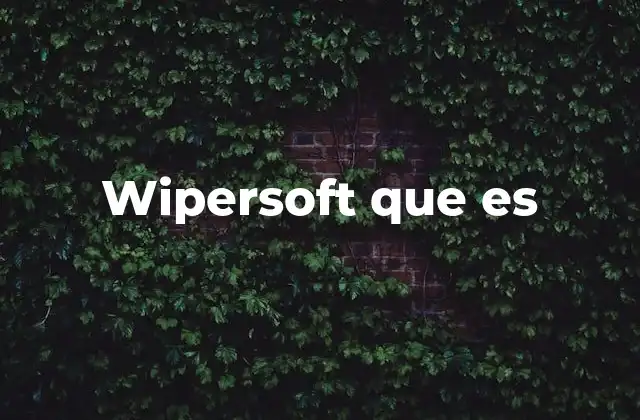 Wipersoft que es