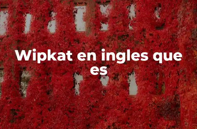 Wipkat en Ingles que es