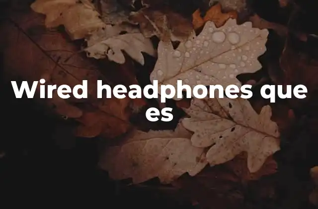 Wired Headphones que es
