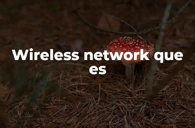 Wireless Network que es