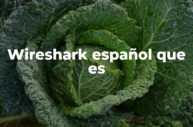 Wireshark Español que es