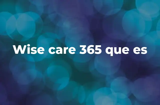 Wise Care 365 que es