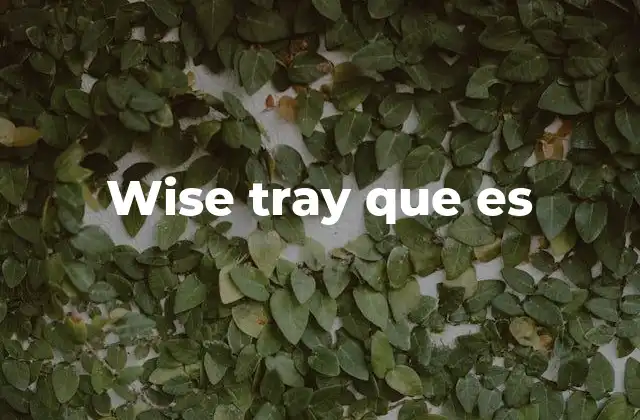 Wise Tray que es