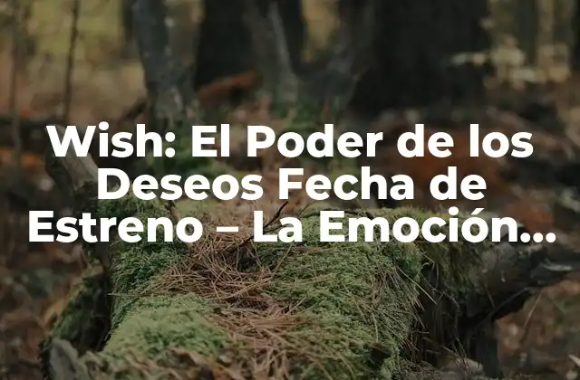 Wish: el Poder de los Deseos Fecha de Estreno – la Emoción de un Nuevo Mundo de Fantasía