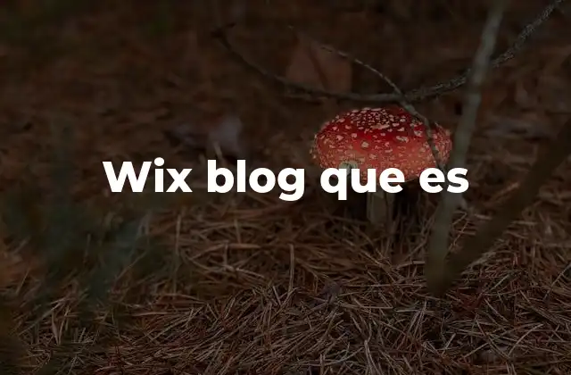 Wix Blog que es