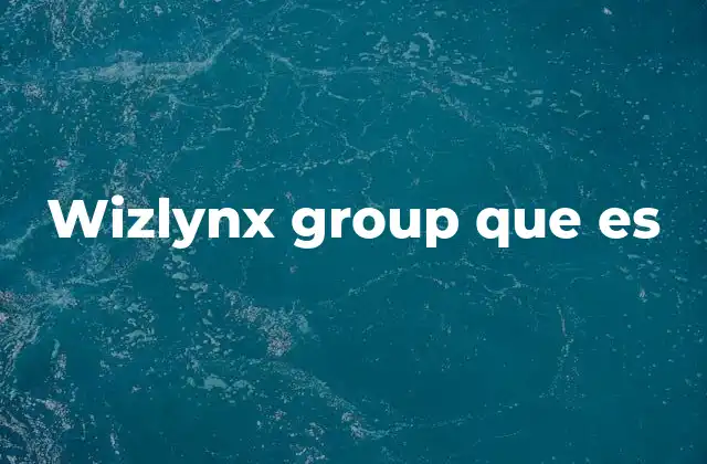 Wizlynx Group que es