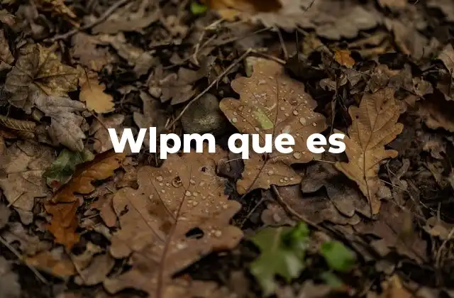 WLPM como medida de productividad