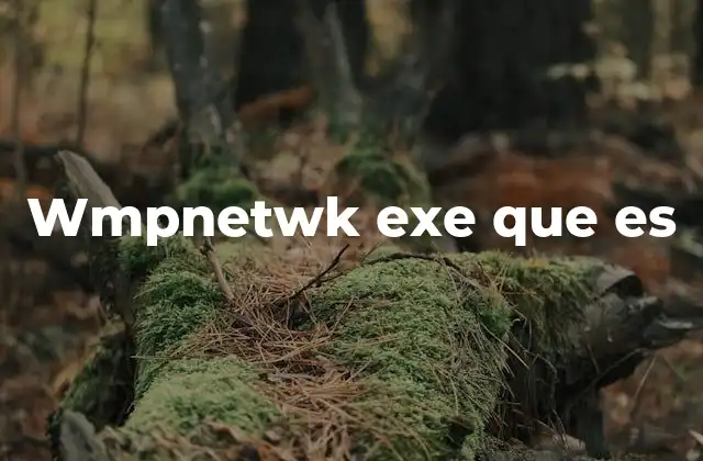 Wmpnetwk Exe que es