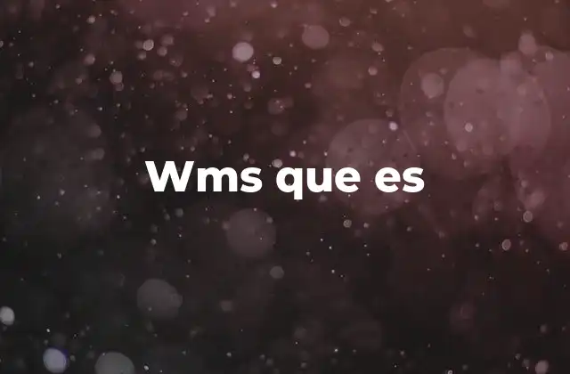 Wms que es