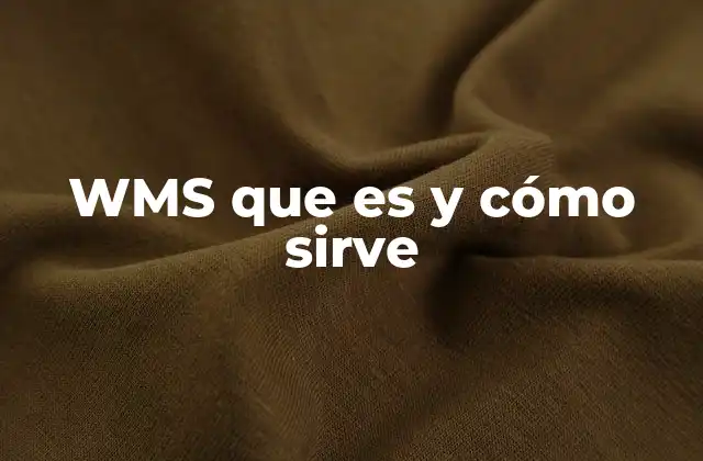 Wms que es y Cómo Sirve