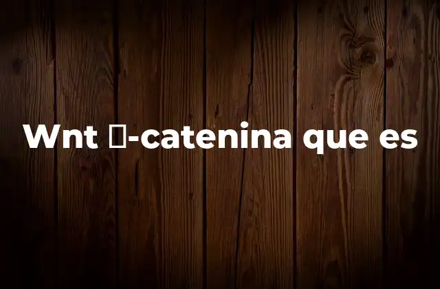 Wnt Β-catenina que es