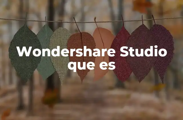 Wondershare Studio que es