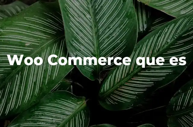 Cómo WooCommerce se diferencia de otras plataformas de comercio electrónico