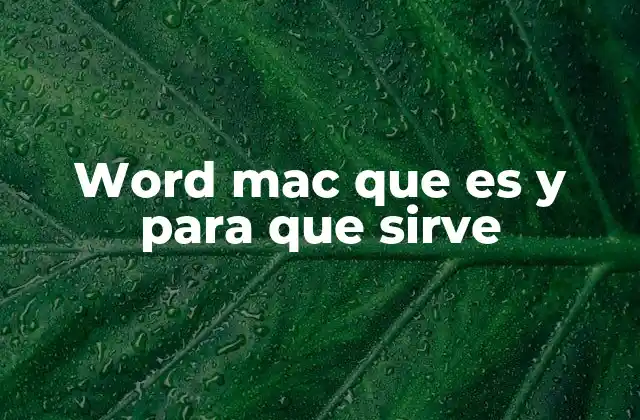 Word Mac que es y para que Sirve