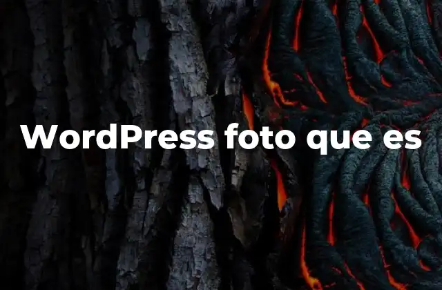 La importancia de las imágenes en un sitio web WordPress