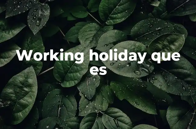 Working Holiday que es 2 Cómo funciona un working holiday