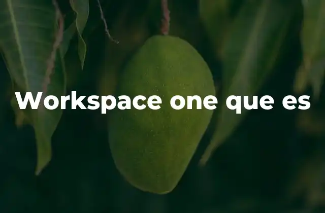 Workspace One que es 2 Ventajas de integrar workspace one en una empresa