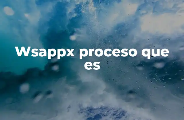Wsappx Proceso que es