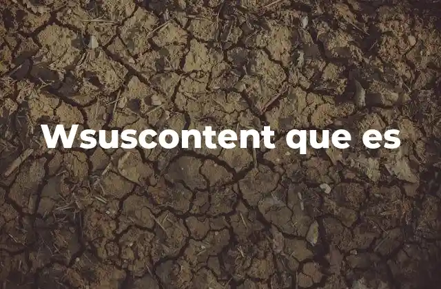 Wsuscontent que es