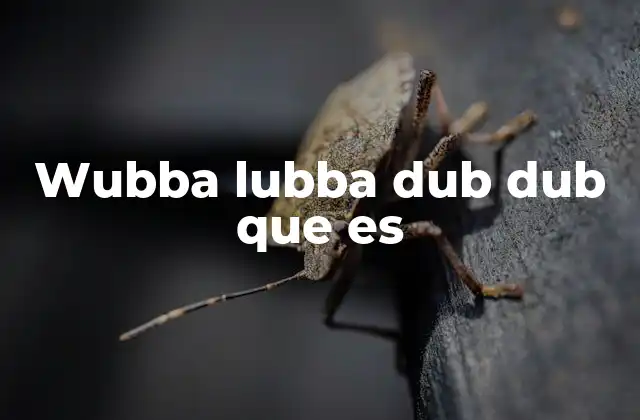 Wubba Lubba Dub Dub que es