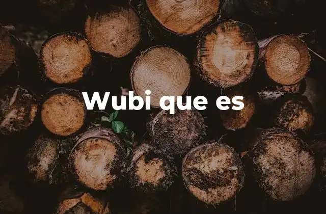 Wubi que es