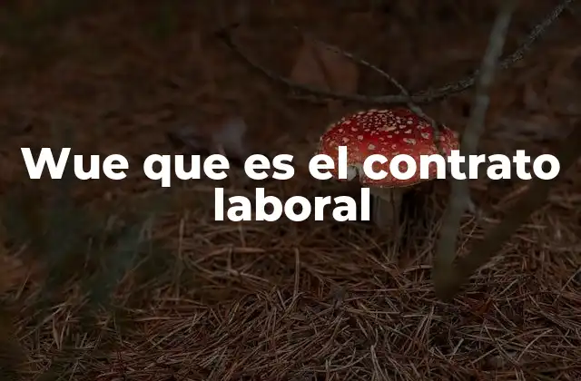 Wue que es el Contrato Laboral