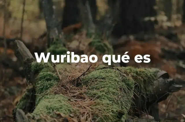 Wuribao Qué es