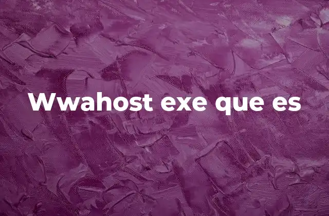 Wwahost Exe que es