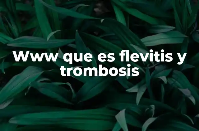 Www que es Flevitis y Trombosis