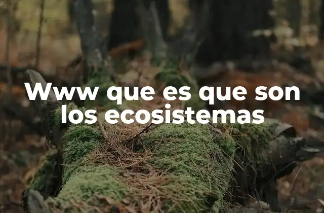 Www que es que Son los Ecosistemas