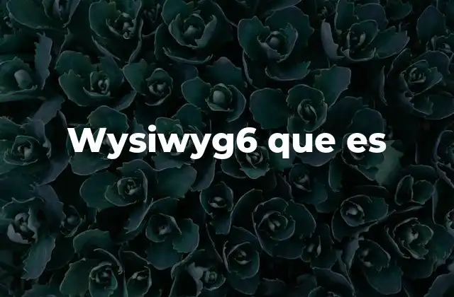 Wysiwyg6 que es