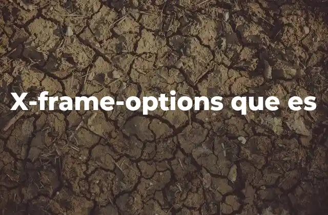 X-frame-options que es