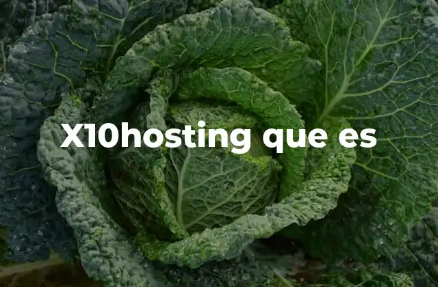 X10hosting que es
