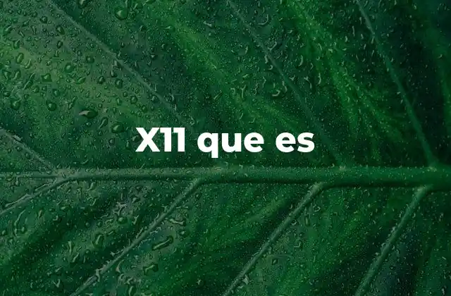 X11 que es 2 El funcionamiento del sistema X11