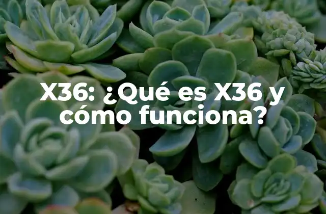 X36: ¿qué es X36 y Cómo Funciona?