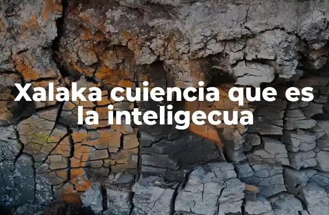 Xalaka Cuiencia que es la Inteligecua