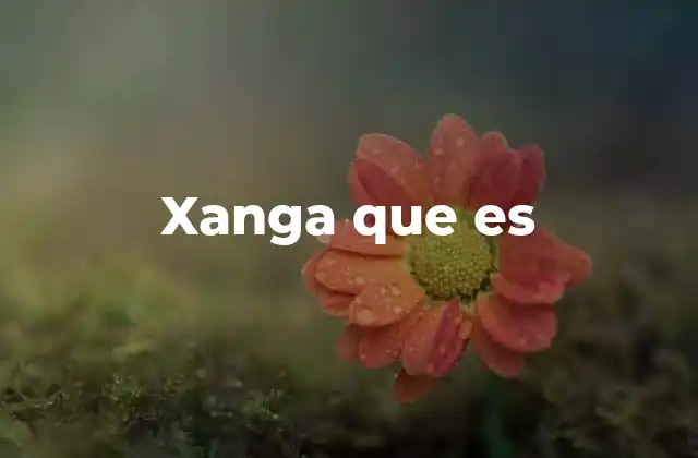 Xanga que es